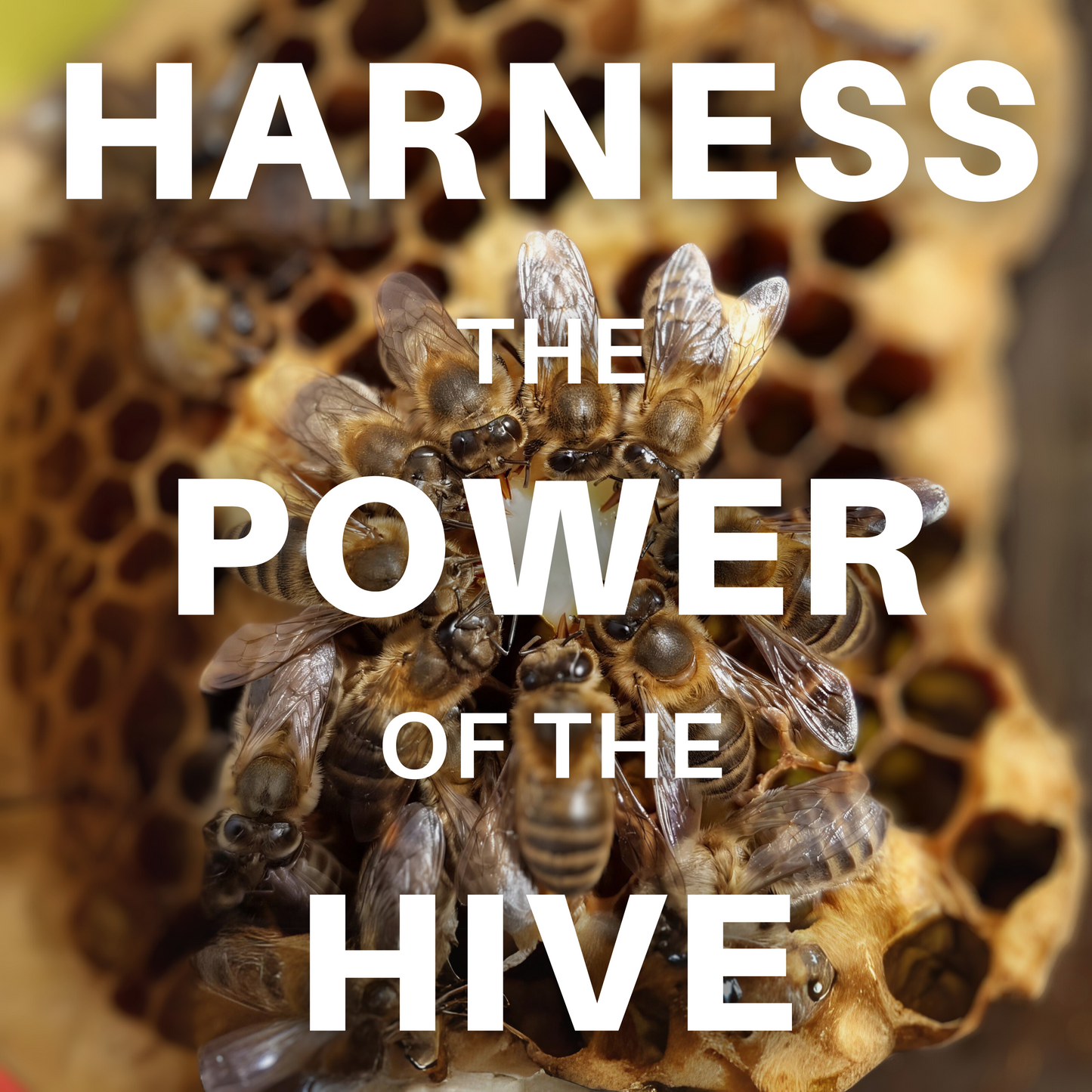 HoneyPlusCo | 100% Natural Fresh Royal Jelly