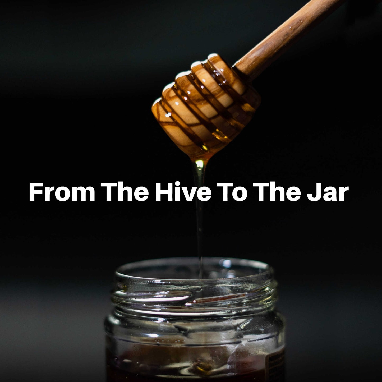 HoneyPlusCo | 100% Natural Raw Unfiltered Honey