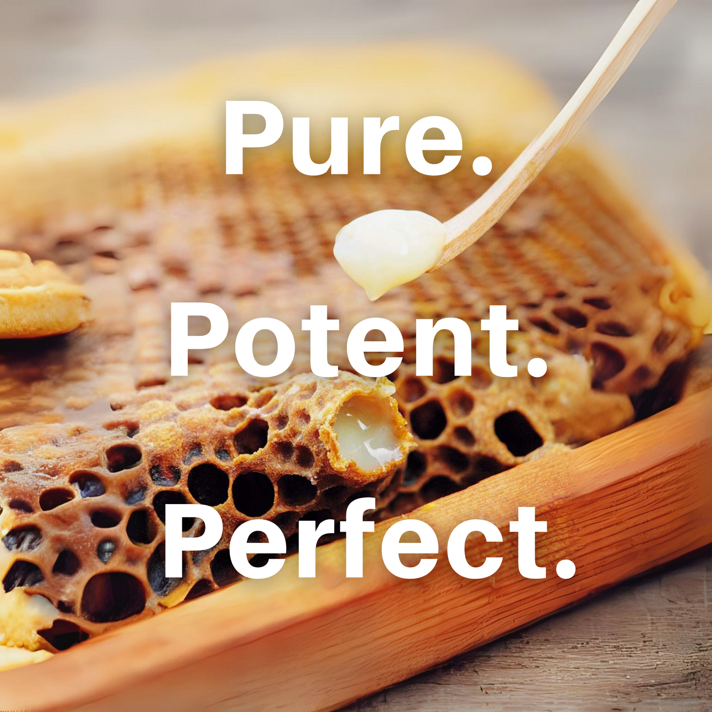 HoneyPlusCo | 100% Natural Fresh Royal Jelly