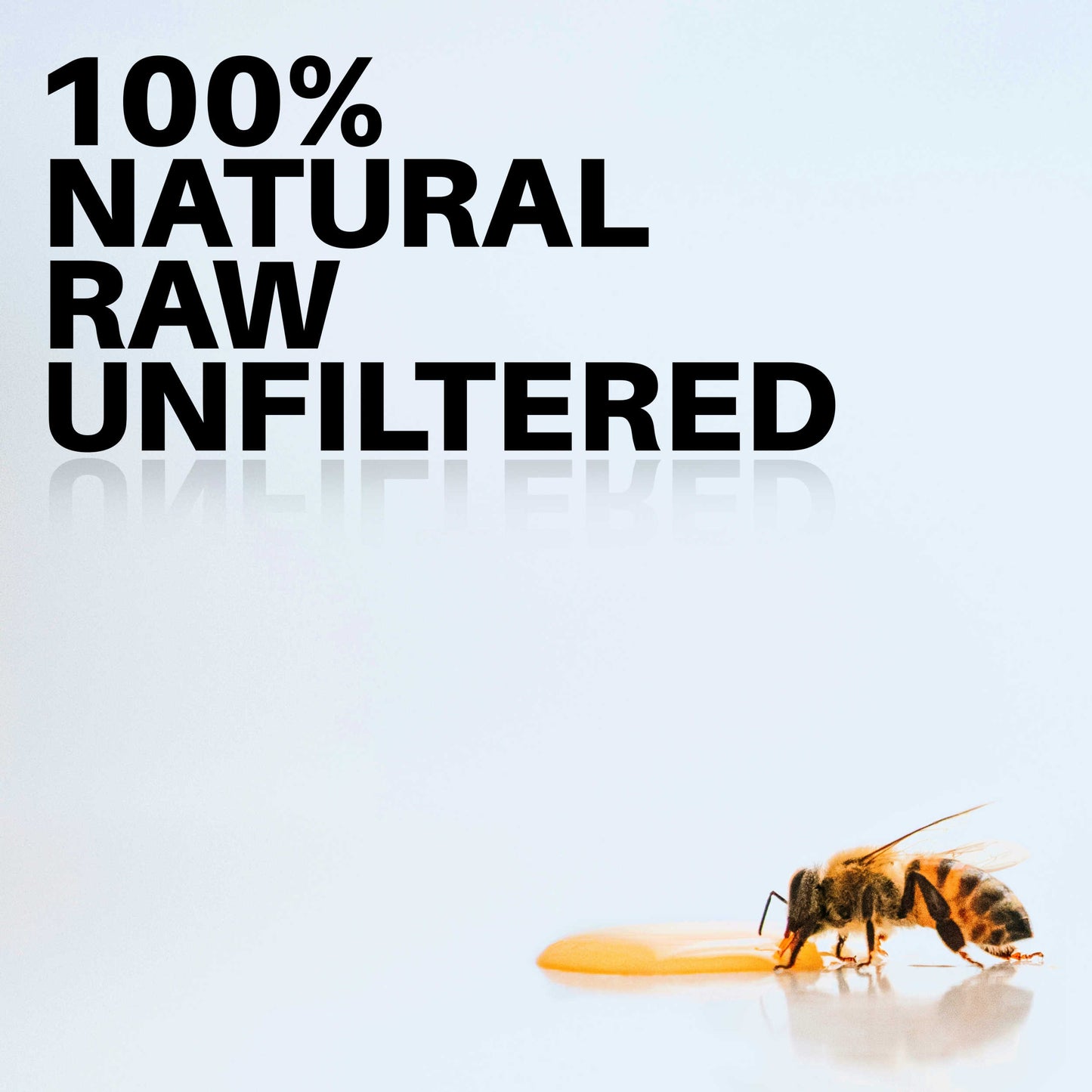 HoneyPlusCo | 100% Natural Honey Sticks (25 Pack)