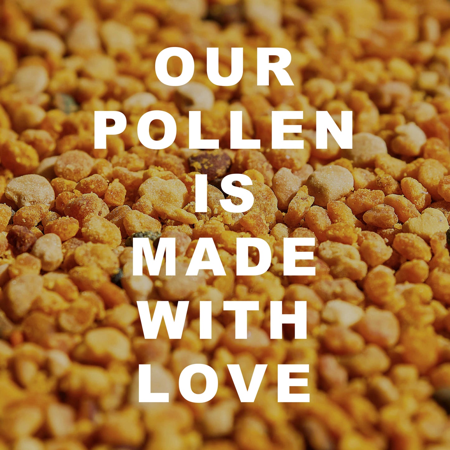 HoneyPlusCo | 100% Natural Raw Unfiltered Bee Pollen