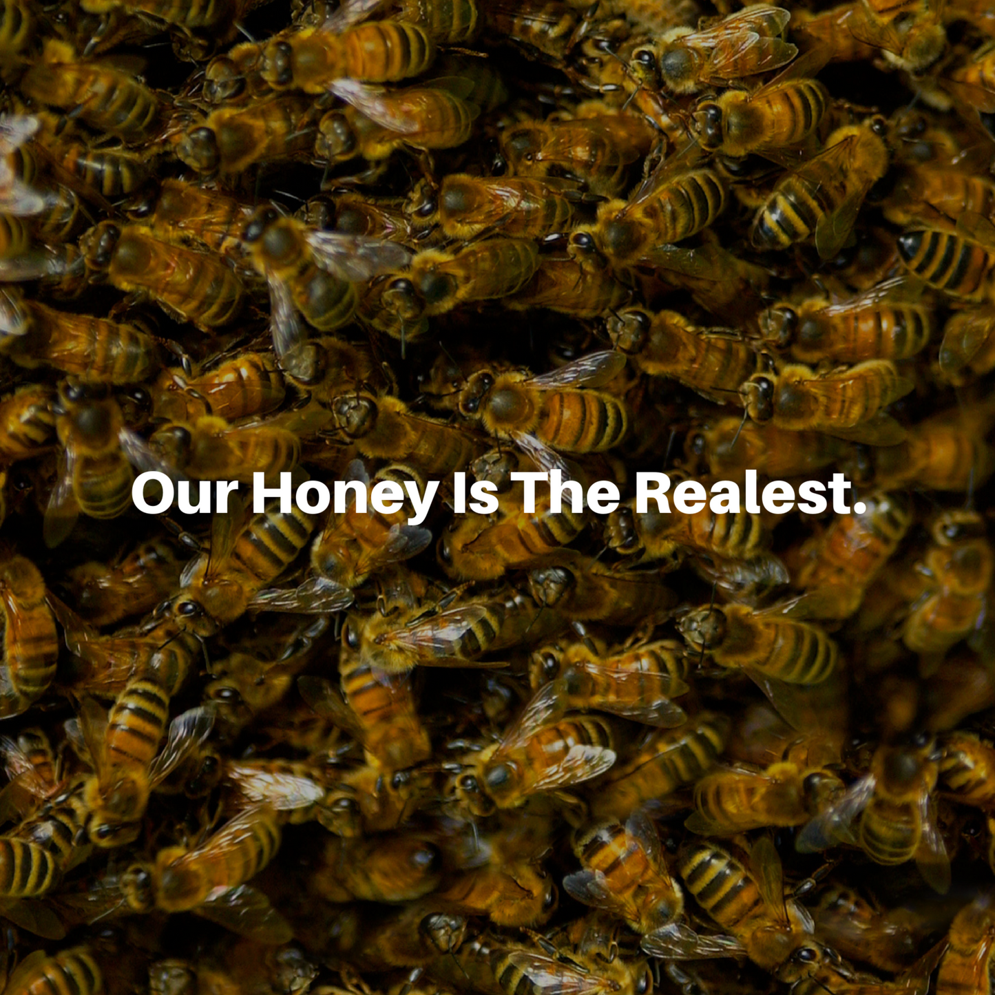 HoneyPlusCo | 100% Natural Fresh Royal Jelly