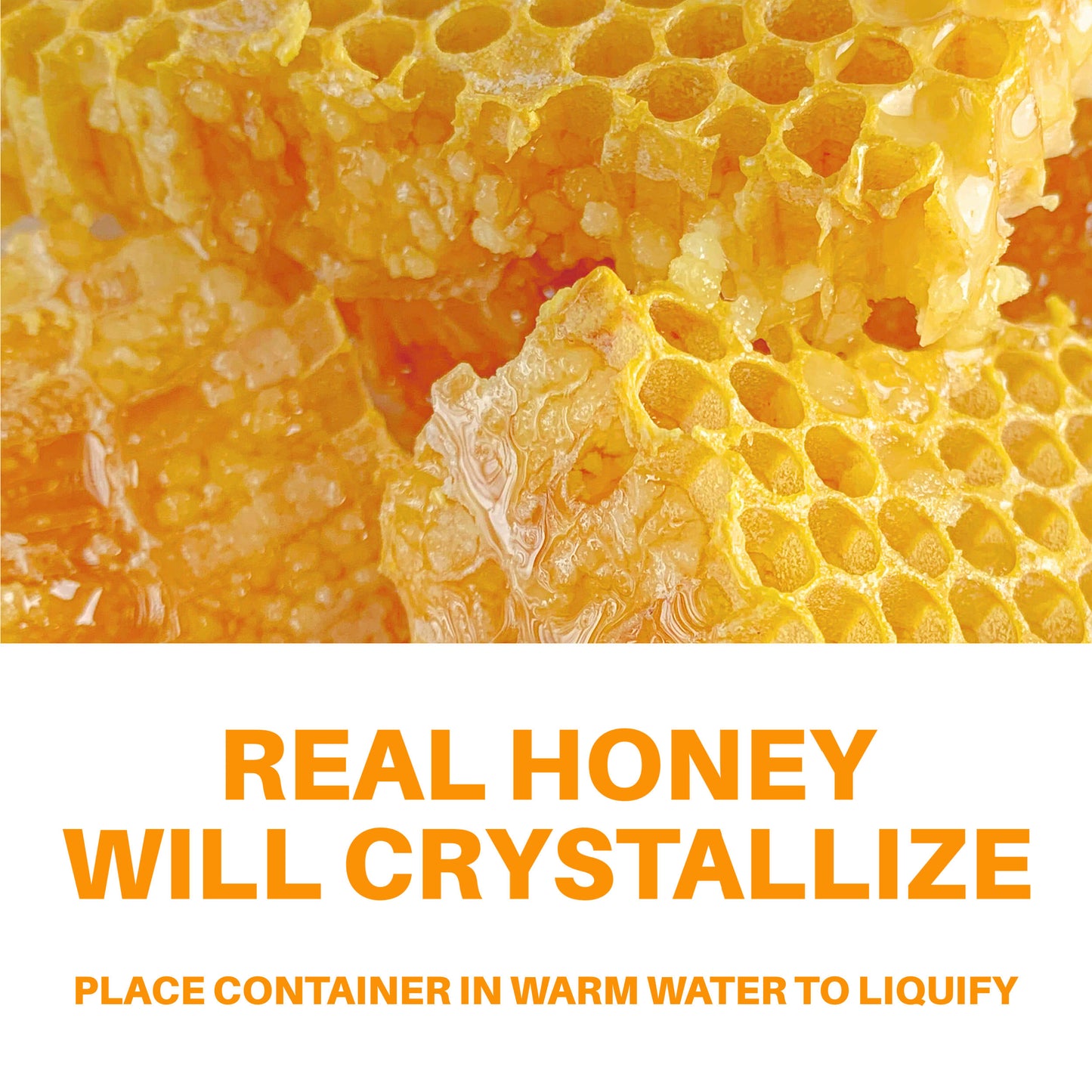 HoneyPlusCo | 100% Natural Raw Unfiltered Honey