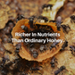 HoneyPlusCo | 100% Natural Melipona Honey - Made By Stingless Bees