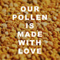 HoneyPlusCo | 100% Natural Raw Unfiltered Bee Pollen